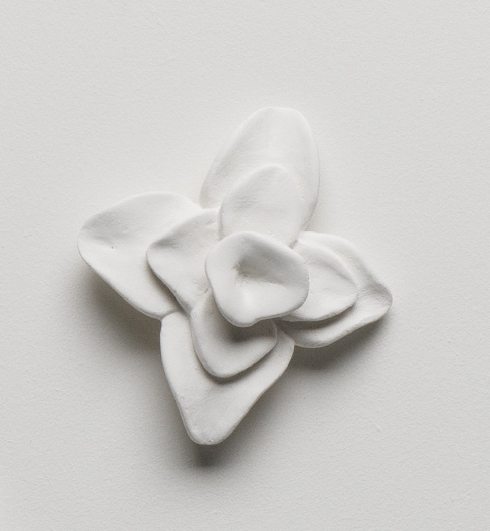 Abstract Orchid