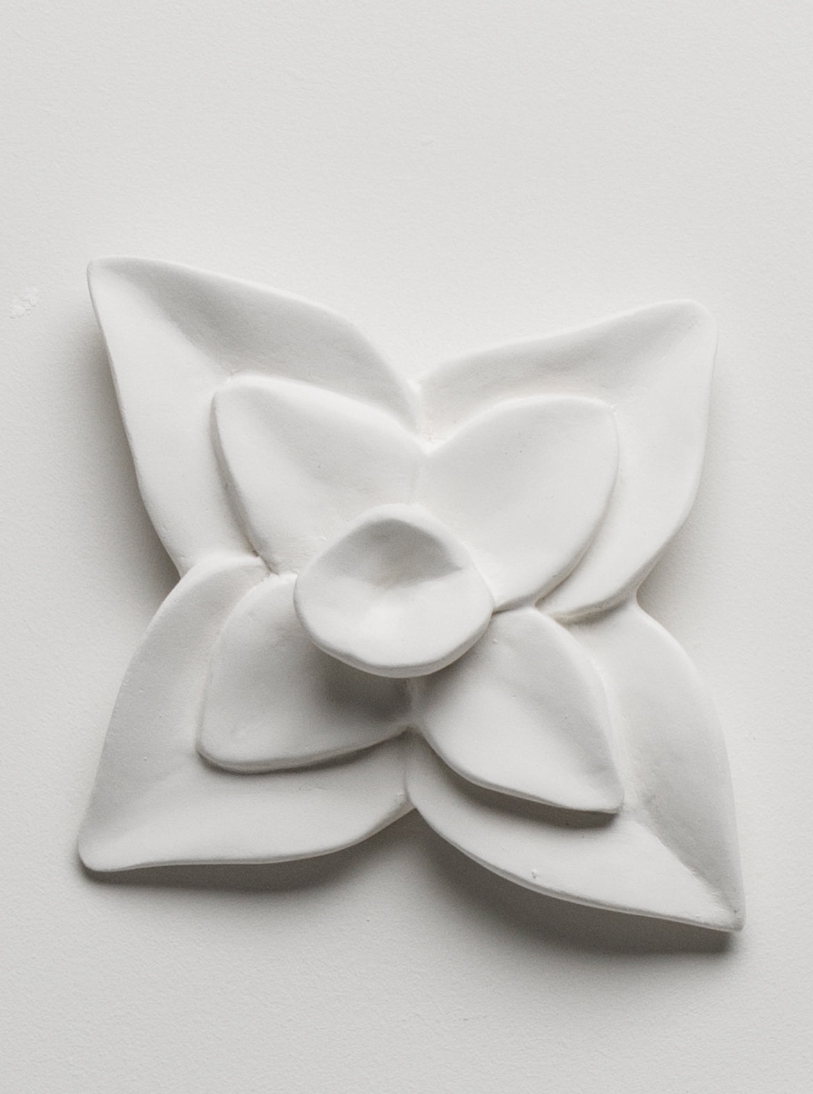 Abstract Orchid