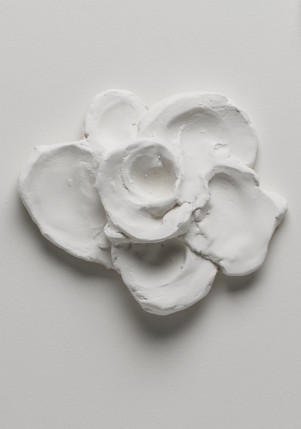 Abstract Flowers