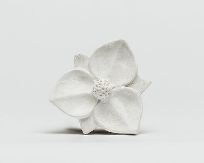 Magnolia Flower
