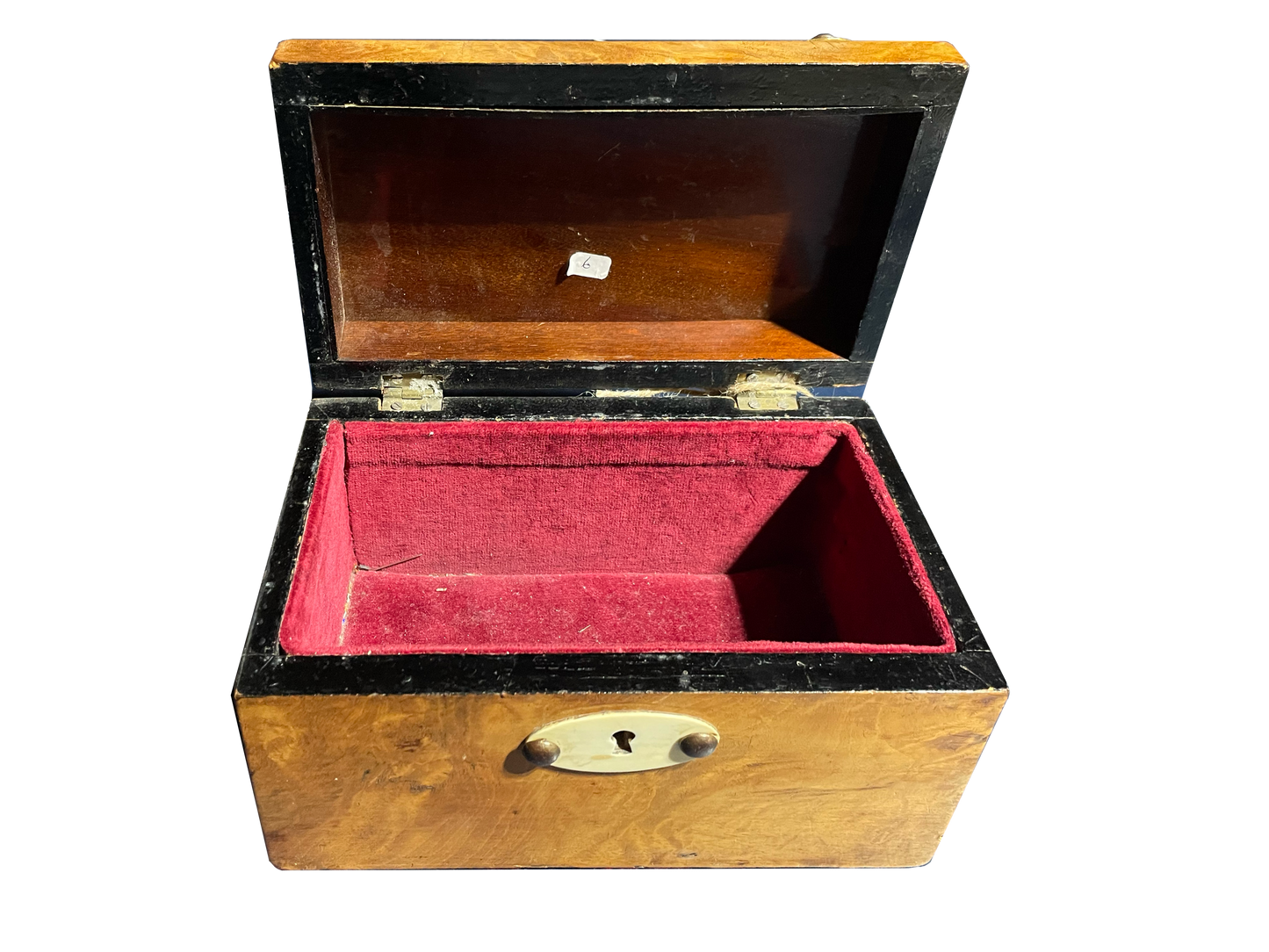Small Walnut Box with Birch Wood Details, Nail Heads, and Red Velvet Interior