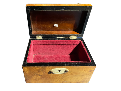 Small Walnut Box with Birch Wood Details, Nail Heads, and Red Velvet Interior