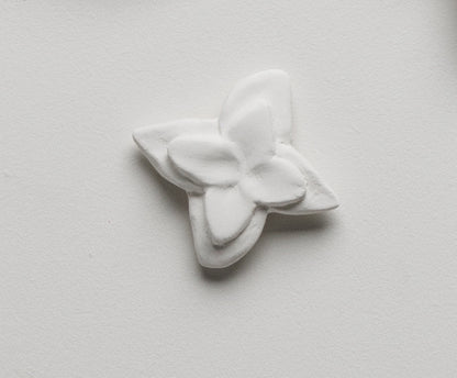 Abstract Orchid