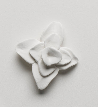 Abstract Orchid