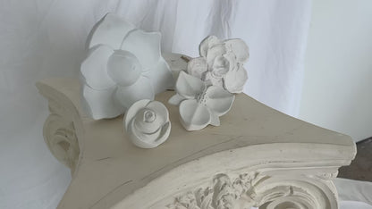 Magnolia Flower
